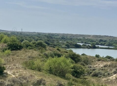 Bardienst maandag 30 maart