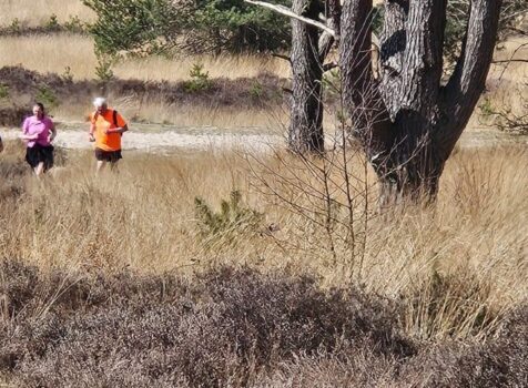 HRR trailrun in Nationaal Park Veluwezoom