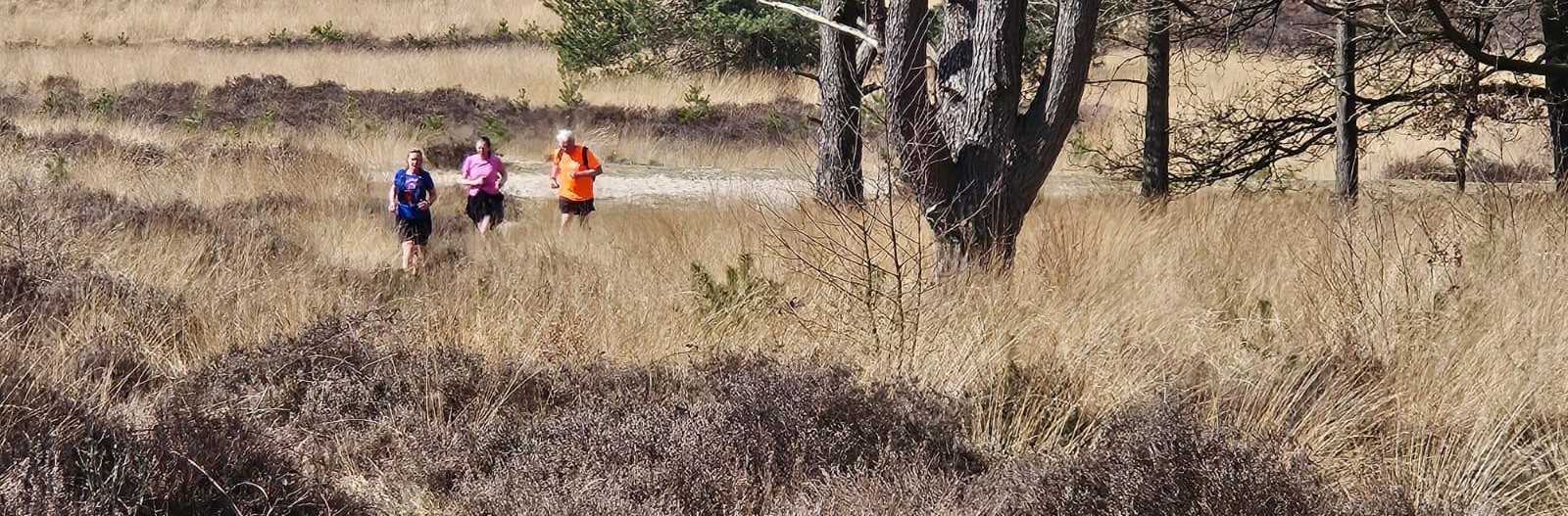 HRR trailrun in Nationaal Park Veluwezoom